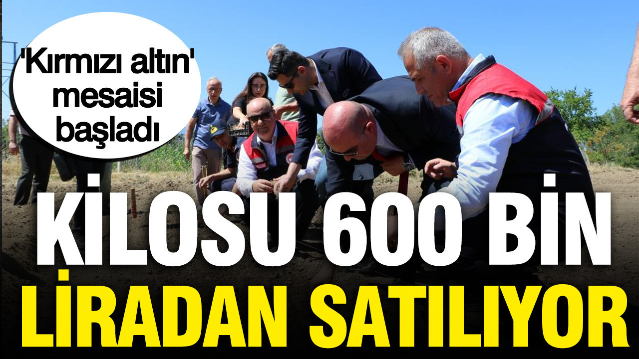 haber-gorseli-1787148570562